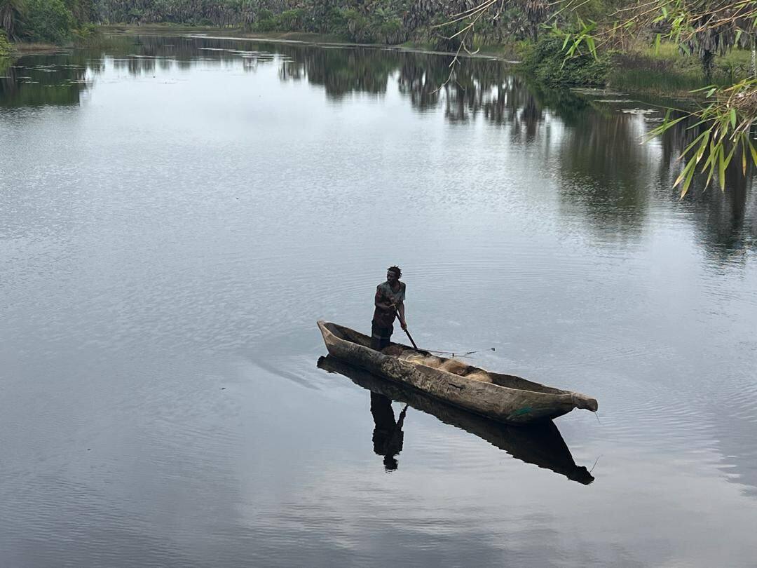 Sorties en pirogue