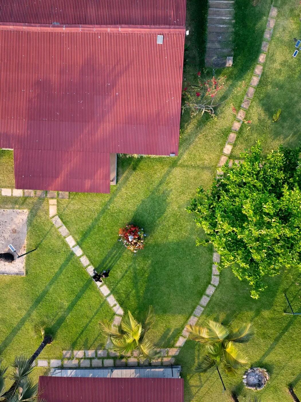 Aerial view of the garden