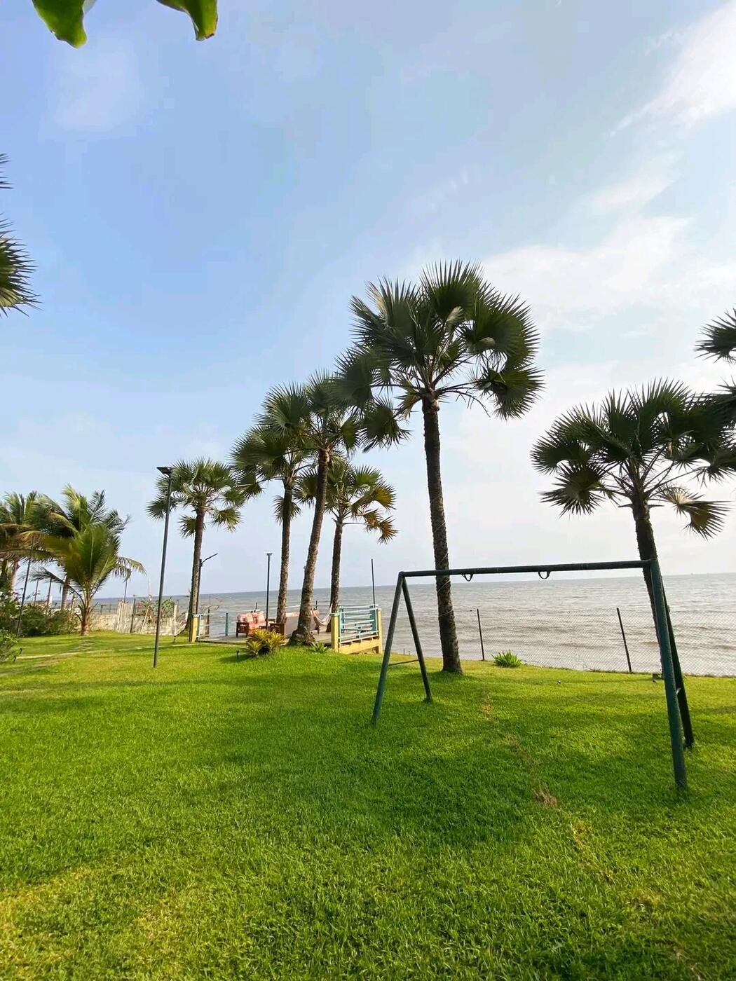 Swing among palm trees