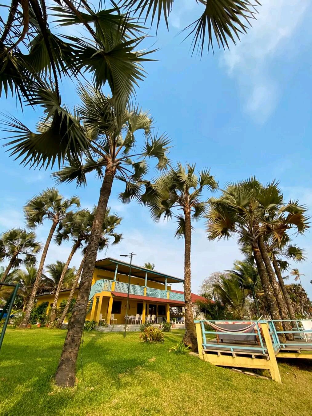 Villa and palm trees