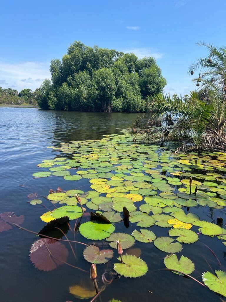 Nature & lagunes